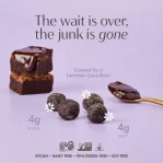 Boobie Lactation Oat Cookie Bites